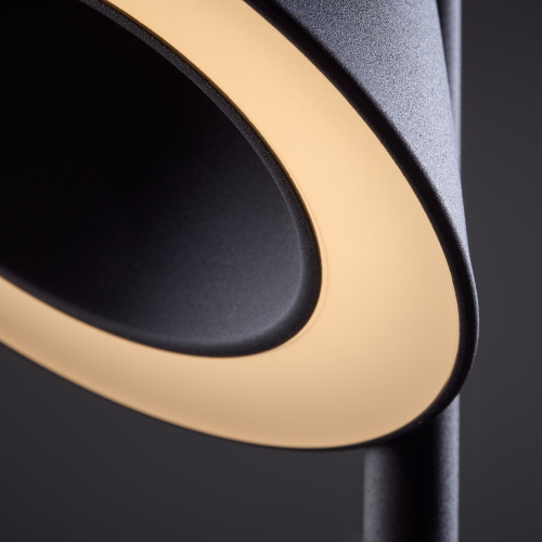 Настольный светильник Freya FR6141TL-L7B фото 7 Настольный светильник Freya FR6141TL-L7B фото 7